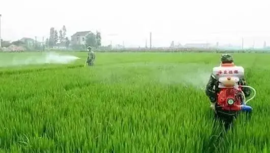 农家肥