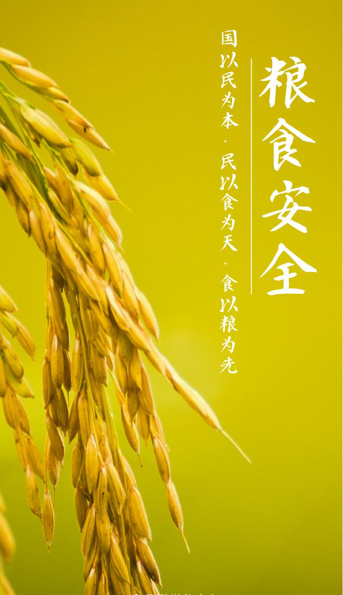 中华人民共和国粮食安全保障法