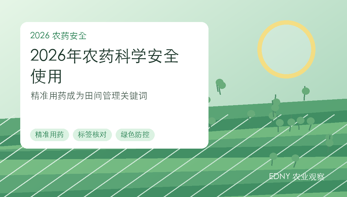 2026年农药科学安全使用：精准用药成为田间管理关键词
